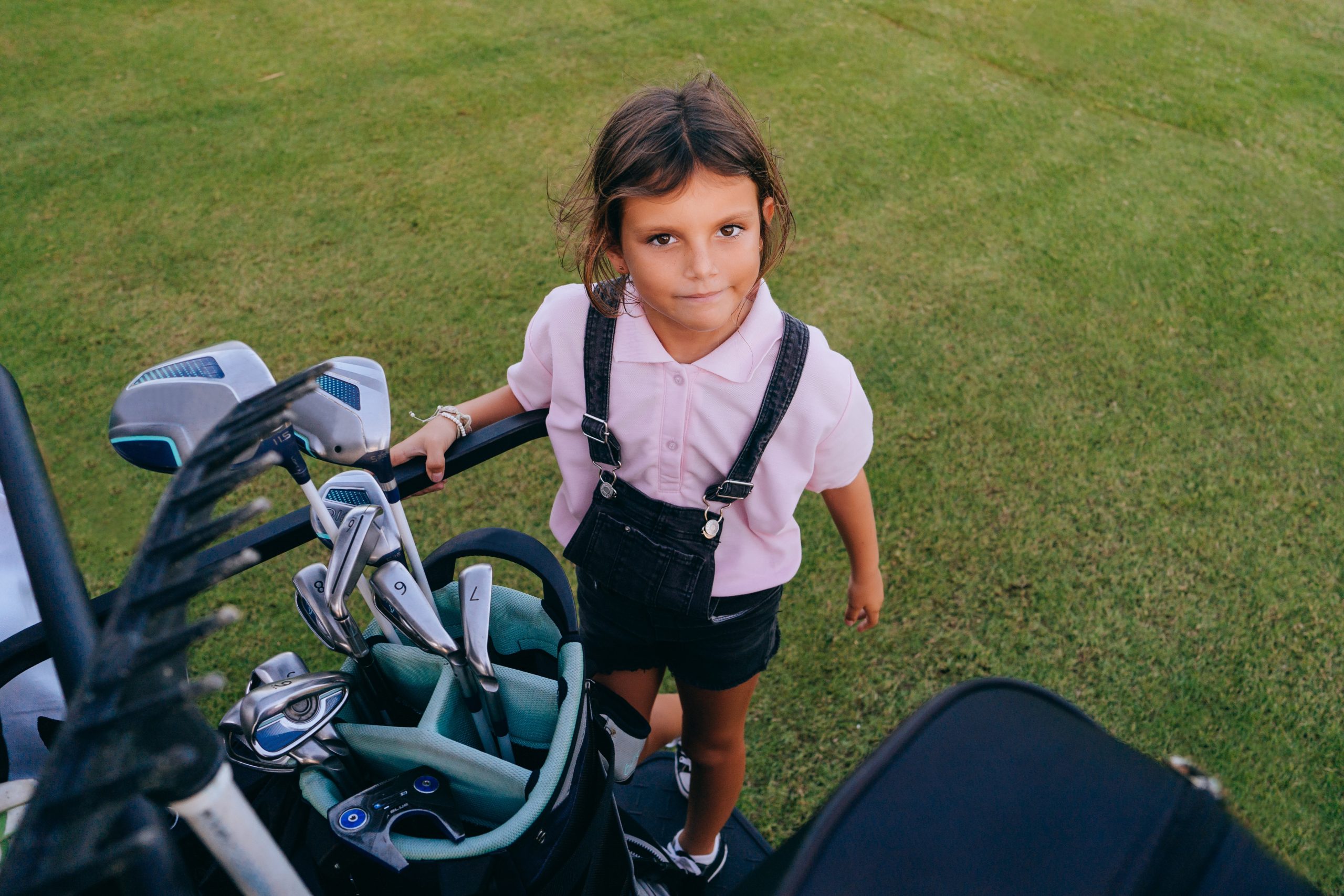 golf cart battery charger